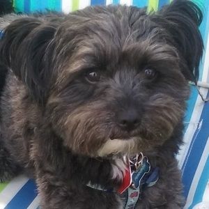 Meet your Posher, Isabella